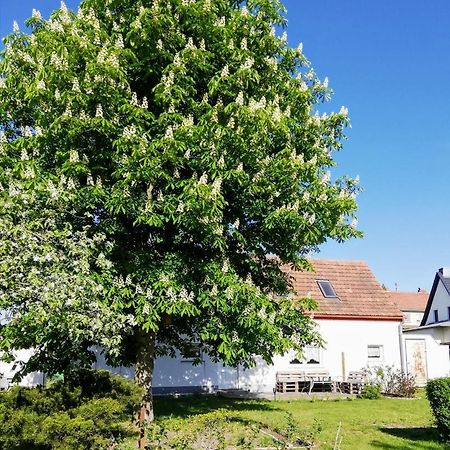 Ferienwohnung Lodig Gross Sarchen Exterior photo
